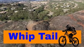 Mountain Biking Whip Tail in Carlsbad California