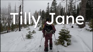 Tilly Jane Ski Trail