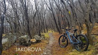 Jakobova pot
