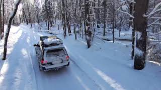The Dead Of Winter