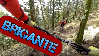 MTB Monte Morello 06.02.2021 sentiero BRIGANTE