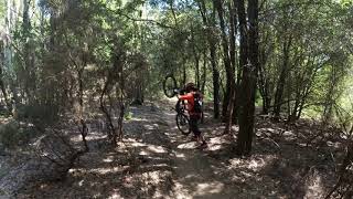 MTB Etrusco trail with Crash - Montalbano...