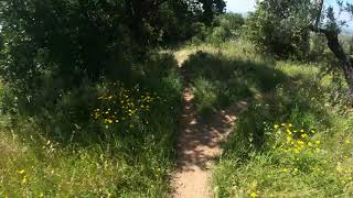 MTB Montalbano - sentiero Gello FR - 24.05.2020