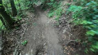 MTB Monti Pisani - sentieri PUNGITOPO e...