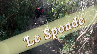 MTB Livorno 04.07.2020 sentiero LE SPONDE