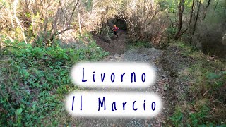 MTB Livorno 07.11.2020 sentiero IL MARCIO -...