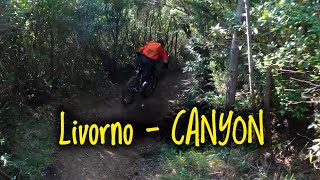 MTB Livorno 07.11.2020 sentiero CANYON - GoPro...