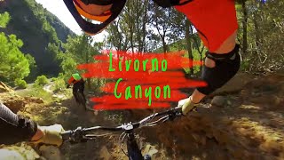 MTB Livorno 07.11.2020 sentiero CANYON -...