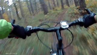 Qbed Trail november 2020