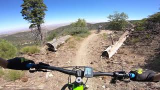 Logging Leprechaun-Part One (MTB)