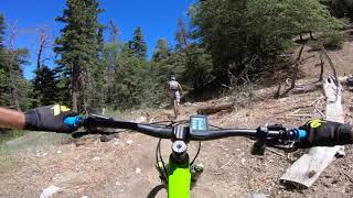 Logging Leprechaun-Part Two (MTB)