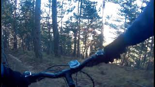 Kubed Qubed trail 2021