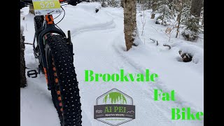 Brookvale Fat Bike PEI