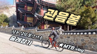 쫄깃한 다운을 즐기고 싶다면 추천...