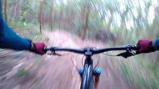 MTB Enduro Torrinha