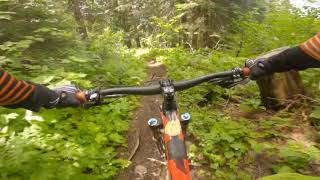 Martha creek trail.