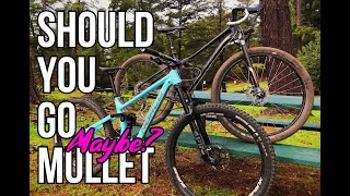 Mullet Mountain Bike : Why & How
