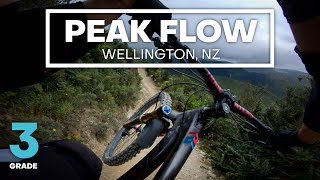 YES, IT'S OPEN! - Peak Flow Mountain Bike...