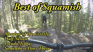 Best Mountain Biking in Squamish, BC - Flow...