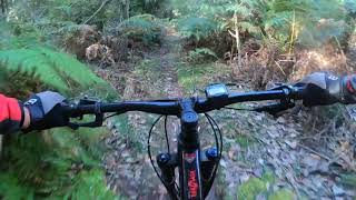 Gisborne top mtb trails