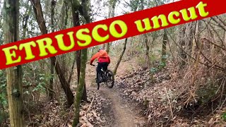 MTB Montalbano 20.02.2021 sentiero ETRUSCO uncut