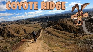 Coyote Ridge Trail - Mountain Biking - Castaic, CA