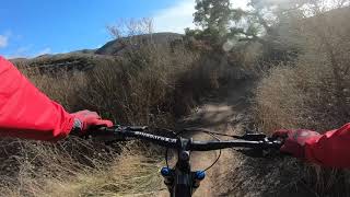 TWO FOXES : MTB
