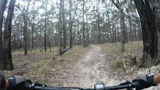 Slingshot