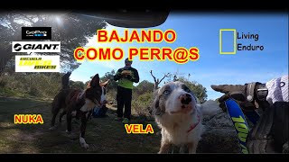  MTB CON PERROS  | GOPRO | LIVING ENDURO