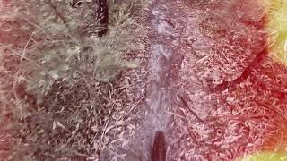 H2O Westleigh - Mountain bike park