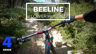 FAST & PLAYFUL - Beeline Mountain Bike...