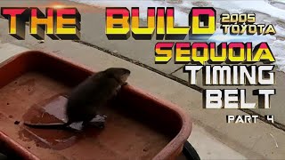 I SMELL A RAT!| The Build: 2005 Sequoia |...