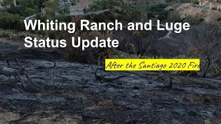 Whiting Ranch and Luge Update | Post Santiago...