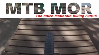 MTB MOR | Mountain bike fun!!!! | Orange...