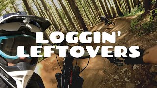 The Only Easy Trail on the Mountain | Loggin...