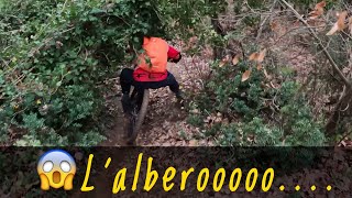 MTB Montalbano 09.01.2021 - l'albero sulla CUPOLA