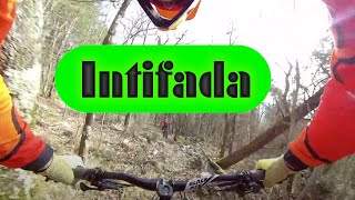 MTB monte Morello 06.02.2021 sentiero INTIFADA
