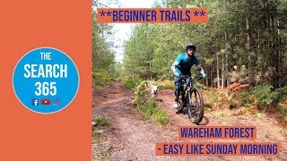 Wareham Forest | MTB Trails | Easy like Sunday...