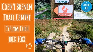 Red Fox | Cyflym Coch | Fast Red | Coed Y Brenin