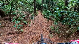 Kaimai Kurler @ Te Miro MTB Park
