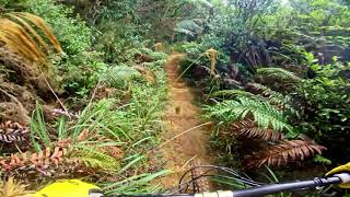 Machete @ Te Miro MTB Park