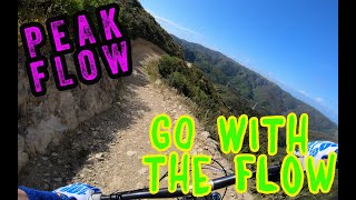 Peak Flow @ Makara Peak MTB Park