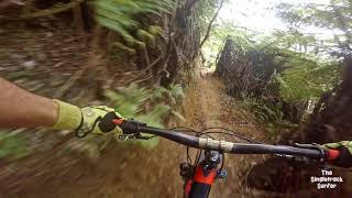 Supa Kanuka @ Makara Peak MTB Park