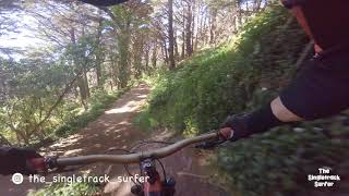 Park Bench @ Mt Victoria  4K