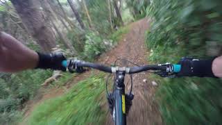 Hospital Jumps/Bomb Hole/Park Bench @ Mt Vic