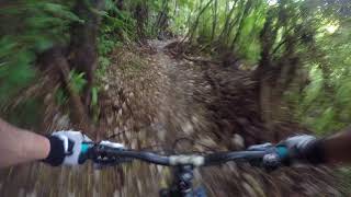 Livewires (Expert line)-Lazy Fern out @ Makara...