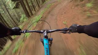 Loess Rider @ Christchurch Adventure Park