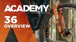 ACADEMY: 36 Overview | FOX