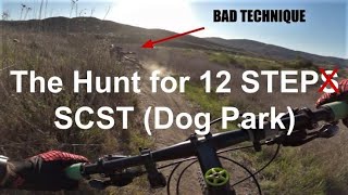 The hunt for 12 Step MTB Trail | Dog Park /...