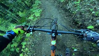 SWINE FLU TRAIL | FERNIE TRAIL TO ALE | FERNIE, BC